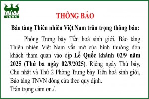 THÔNG BÁO MỞ CỬA PHÒNG TRƯNG BÀY TIẾN HÓA SINH GIỚI DỊP LỄ QUỐC KHÁNH 02/9 NĂM 2025